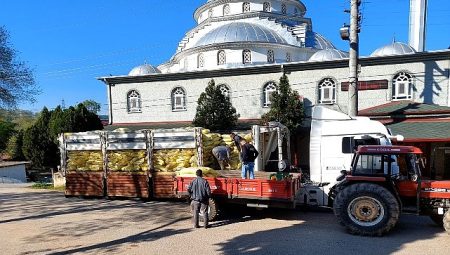 Büyükşehir, tarımın gücüne güç katıyor