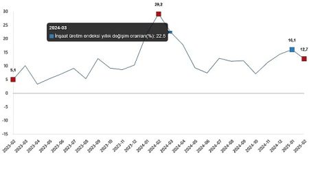 İnşaat Üretim Endeksi, Şubat 2025