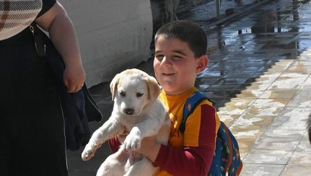 Minik Öğrencilerden, Patili Dostlarımıza Ziyaret