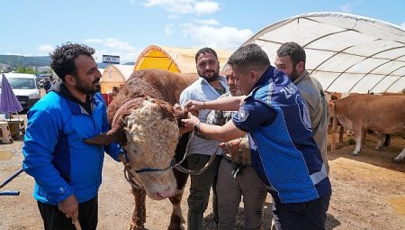 Gaziemir’de kurban satış yerlerinde sıkı kontrol