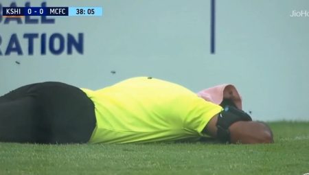 Hindistan’da şaşkına çeviren olay: Arılar hakem ve taraftarlara saldırdı