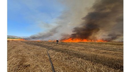 İzmir İtfaiyesi son 48 saatte 220 yangına müdahale etti