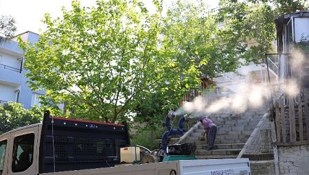 Karabağlar’da Haşerelere Karşı İlaçlama Seferberliği