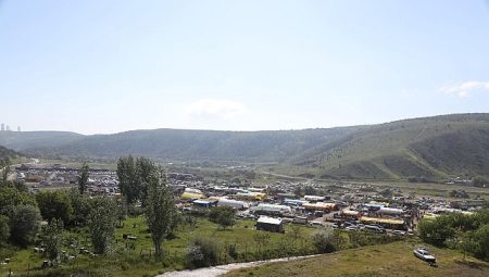 Çankaya Belediyesi’nden Kurban Bayramında Tam Hizmet