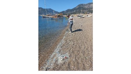 Çıralı’da paklık çalışması