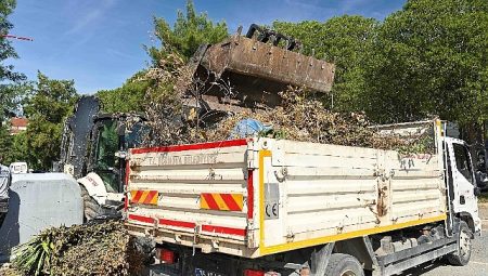 Bornova’da yaz öncesi yangın ve etraf seferberliği