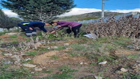 Büyükşehir tasarrufta rekor kırdı