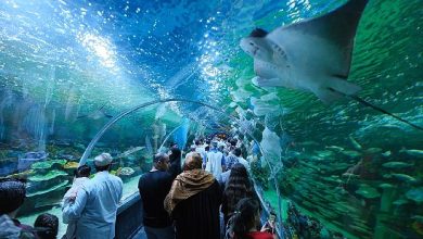 Körfez Aqua, açılışı ile kentte yankı uyandırdı