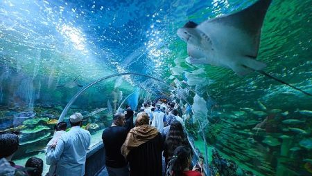 Körfez Aqua, açılışı ile kentte yankı uyandırdı